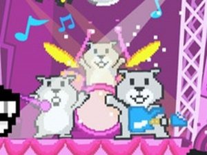 Puzzle Path: Hamster Concert