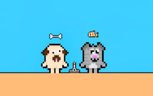 Dog and Cat: Box Hunt Adventure