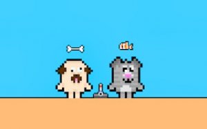 Paws and Whiskers Box Quest