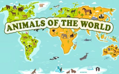 Animals of the World - Geography Learning Game