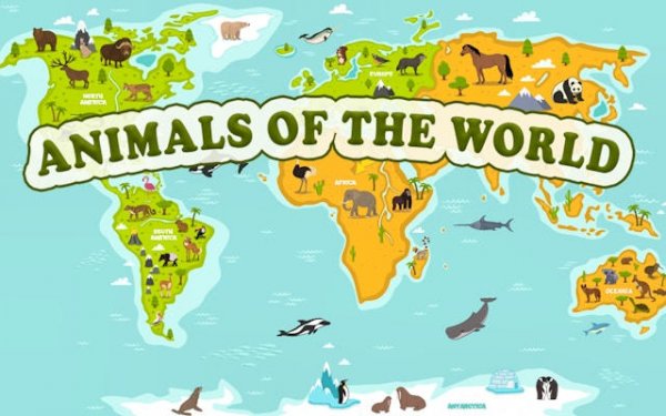 World Animals Geography Learning Game