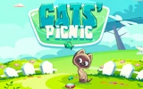 Cats Picnic