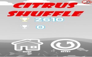 Citrus Shuffle Fruit Puzzle