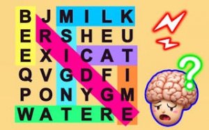 Word Search Fillwords Puzzle