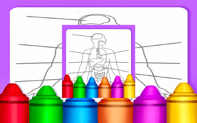 Hard Body Coloring For Kids: Anatomy Coloring Book