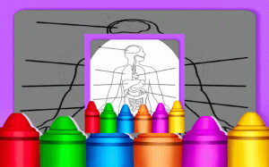 Hard Body Coloring For Kids: Anatomy Coloring Book Online Game - Coloring Game