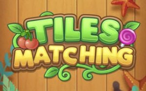 Tile Match Puzzle Challenge