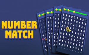 Number Pair Match Puzzle