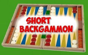 Classic Backgammon Online Board Game