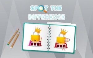 Observation Discovery Puzzle