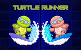 Turtle Runner: Fast-Paced Adventure Game Online - Arcade Game