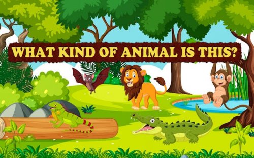 What Kind of Animal is This - Fun Animal Quiz Game