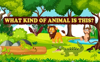 What Kind of Animal is This - Fun Animal Quiz Game