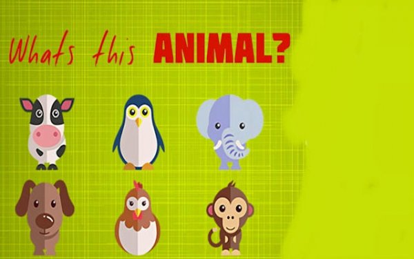 Animal Matching Quiz for Children
