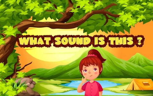 What Sound Is This? Animal Guessing Game