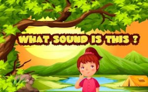 Animal Sound Quiz Puzzle