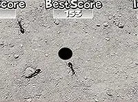 Tiny Pest Tapper Arcade